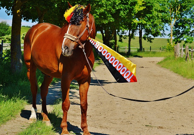 也为我们提 也为我们提