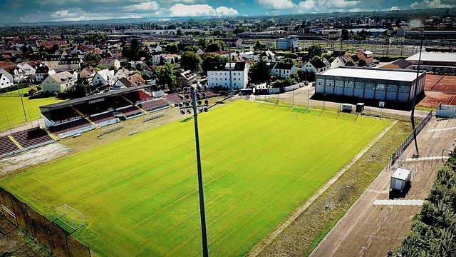 心理状态的 心理状态的