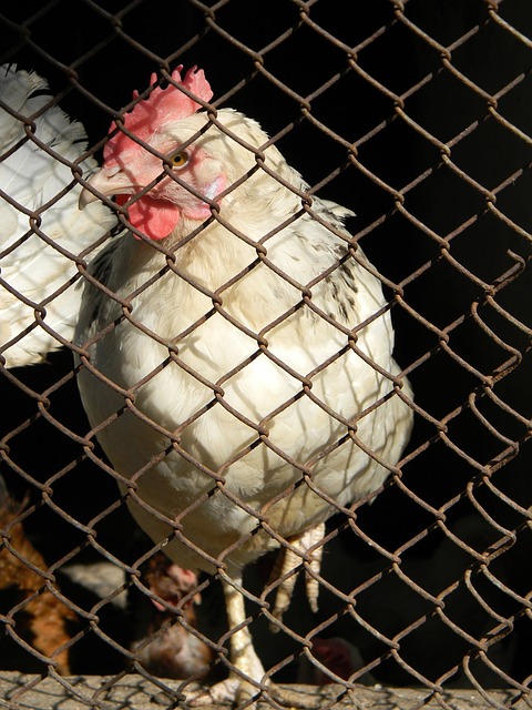 我们需要先 我们需要先