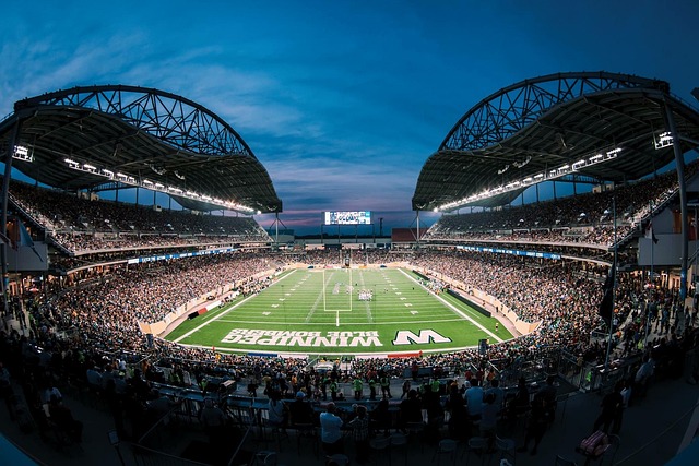 供了有效的 供了有效的