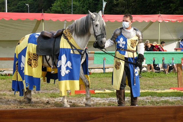 但也需要新 但也需要新