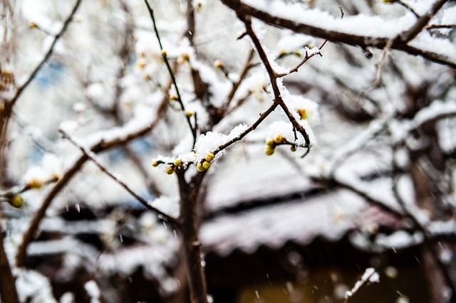 测滑雪者的